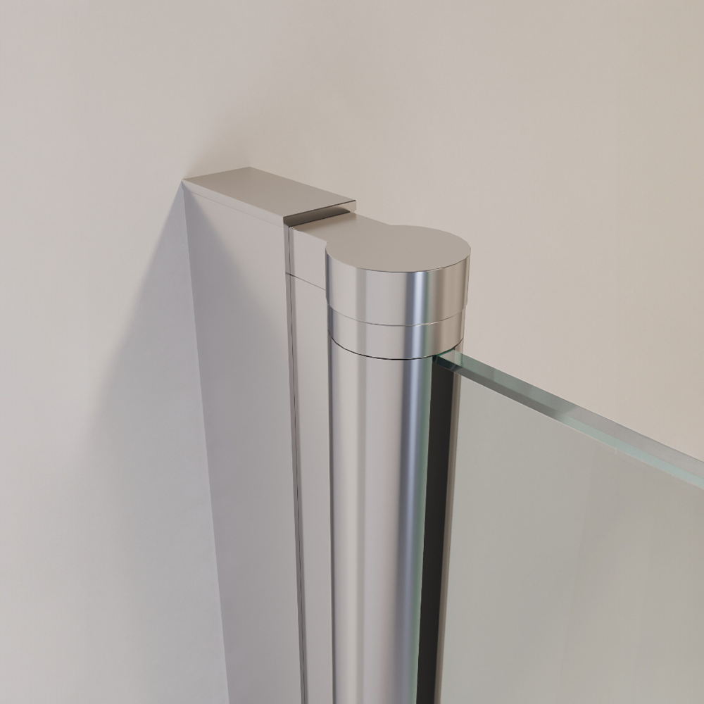 Душевая дверь RGW LE-008 (LE-003 + Z-09 + профиль A-14) (Прозрачное, 1000)