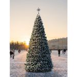 Уличная сосна Уральская с белыми кончиками 42 м, каркасная, леска, Green Trees