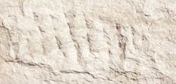 Гибкая керамика PHOMI, коллекция DEVINE MUSHROOM STONE