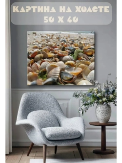 Картина на стену 40 X 50 Ракушки