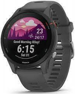 Часы Garmin FORERUNNER 255 Slate Grey, 010-02641-10