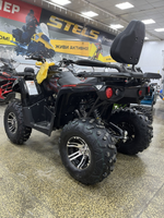 Квадроцикл PROMAX RENEGADE 300 LONG WINCH PRO (2025)