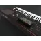 Korg PA1000 Red