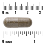 Swanson Vitamins, Full Spectrum®, полынь однолетняя, 425 мг, 90 капсул
