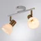 Спот Falena A3117PL-2WH Arte Lamp