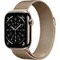 Умные часы Apple Watch Series 11 46 мм Titanium Milanese Loop Золотой Gold