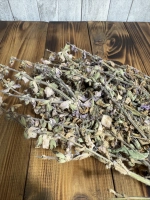 Шалфей мускатный (Salvia sclarea)