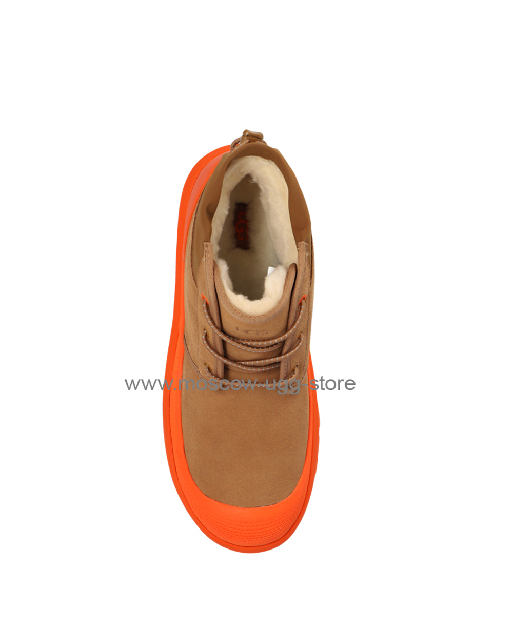 NEUMEL WEATHER HYBRID chestnut-orange