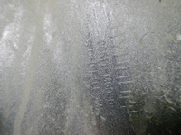 DSCN2704.JPG