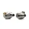 Campfire Audio Solaris Stellar Horizon