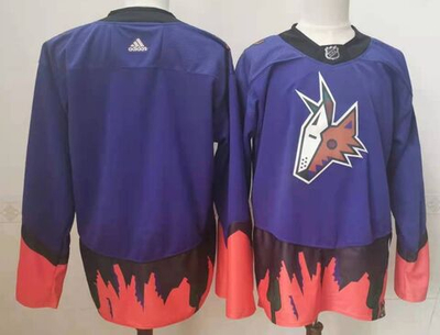 Хоккейное NHL джерси Arizona Coyotes