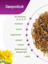 Зверобой трава