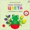 Книга на картоне. Мои первые цвета