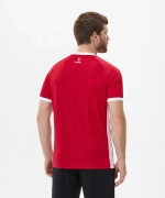 Футболка игровая DIVISION PerFormDRY Element Jersey, красный
