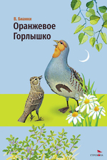 Внеклассное чтение