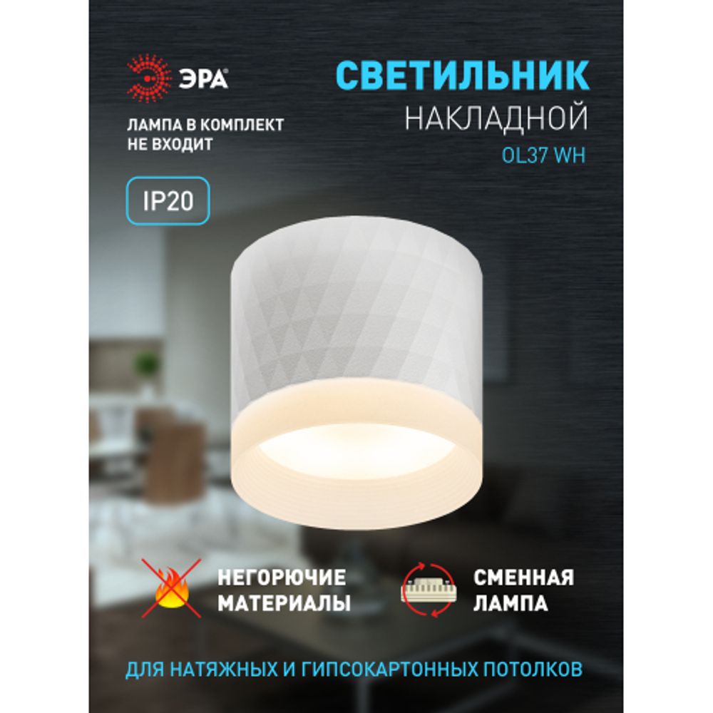 Светильник настенно-потолочный спот ЭРА OL37 WH под GX53 IP20 белый | Накладные светильники