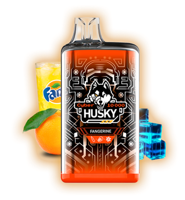 HUSKY CYBER 10000
