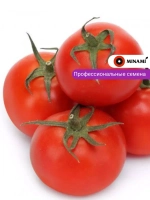 Томат Токидо F1 25шт.
