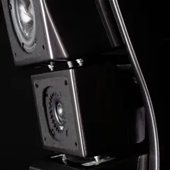 Wilson Audio Alexx V Carbon