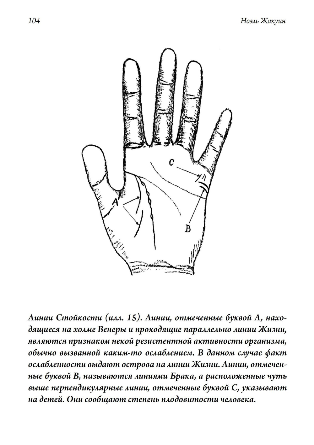 Рука Человека. Полный учебник по хиромантии