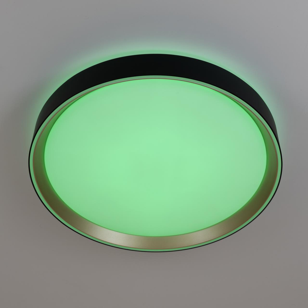 Потолочный светодиодный светильник Citilux Boss CL751351G