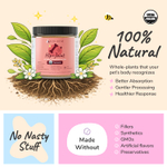 Kin+Kind, бедра и суставы с усовершенствованным комплексом с куркумином, для собак и кошек, куркума, 226, 8 г (8 унций)