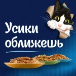 Говядина аппетитные кусочки ЖЕЛЕ, 75г влажный корм для кошек Felix