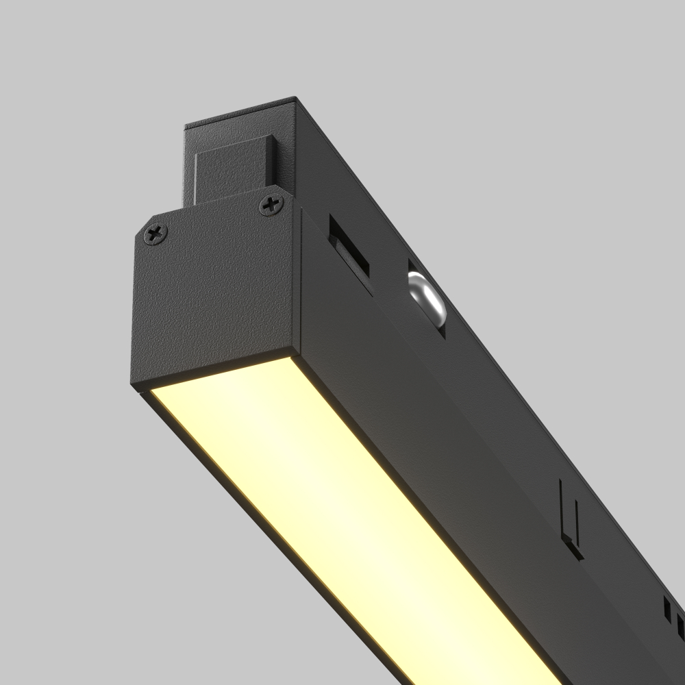 Магнитный трековый светильник Maytoni Basis TR030-2-24W2.7K-B
