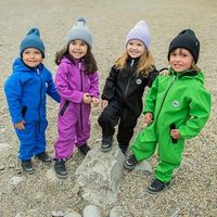 Комбинезон Softshell демисезонный "Электрик"