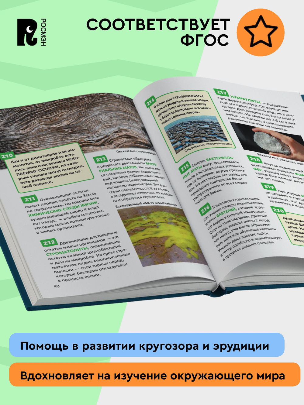 Микромир. Энциклопедия российского школьника