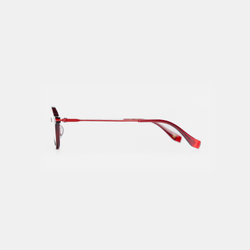 Очки WHITELAB Terra Red / Blue Protect