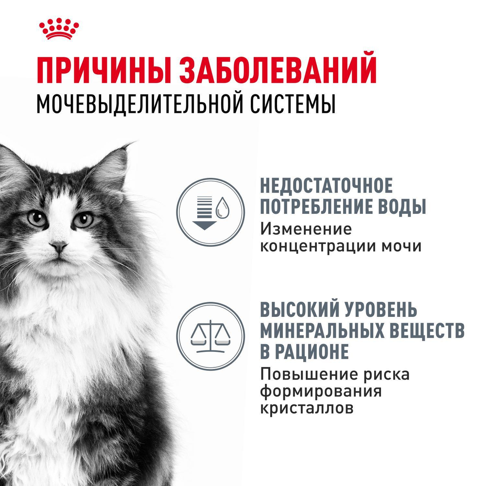 Royal Canin Urinary Care Уринари Кэа Корм влажный диета для взрослых кошек для поддержания здоровья мочевыделительной системы соус 85г