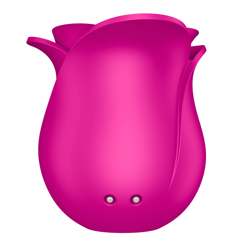 Вакуумный стимулятор клитора Satisfyer Pro 2 Classic Blossom