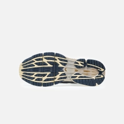 Кроссовки Mizuno Wave Prophecy LS