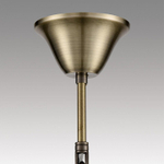 Подвесная люстра Lumion Linn 8190/8