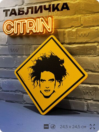 Табличка декоративная "The Cure, Роберт Смит, Robert Smith" на дверь и стену, прикольная штука в подарок, декоративный знак, 24,5х24,5 см, пластиковая, Айдентика Технолоджи