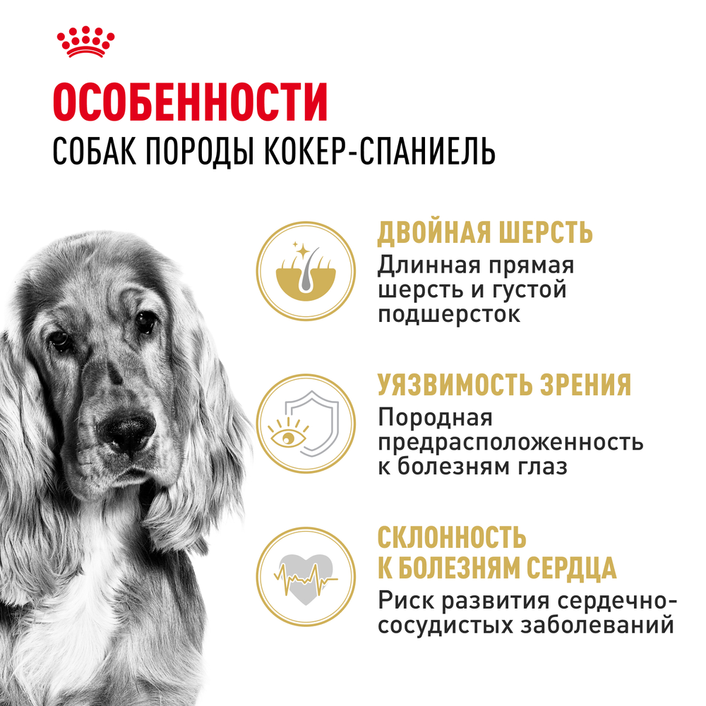Royal Canin Cocker Adult Кокер Эдалт Корм сухой для взрослых собак породы Кокер Спаниель от 12 месяцев 12кг