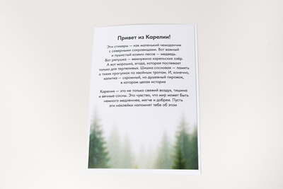 Набор 3D наклеек