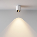 Накладной светодиодный светильник Maytoni Alfa LED C064CL-5W3K-RD-WB