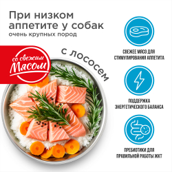 Корм сухой для взрослых собак очень крупных пород, премиум полнорационный комплекс, для собак с низким аппетитом, с лососем, 12 кг, QUATTRO