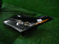 DSCN7571.JPG