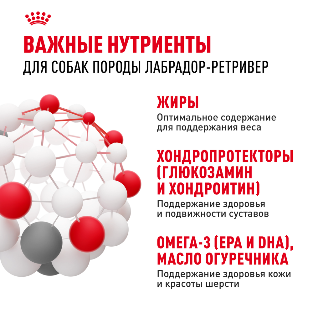 Royal Canin Labrador Retriever Лабрадор Ретривер Эдалт Корм сухой для взрослых собак породы Лабрадор Ретривер в возрасте от 15 месяцев 12кг