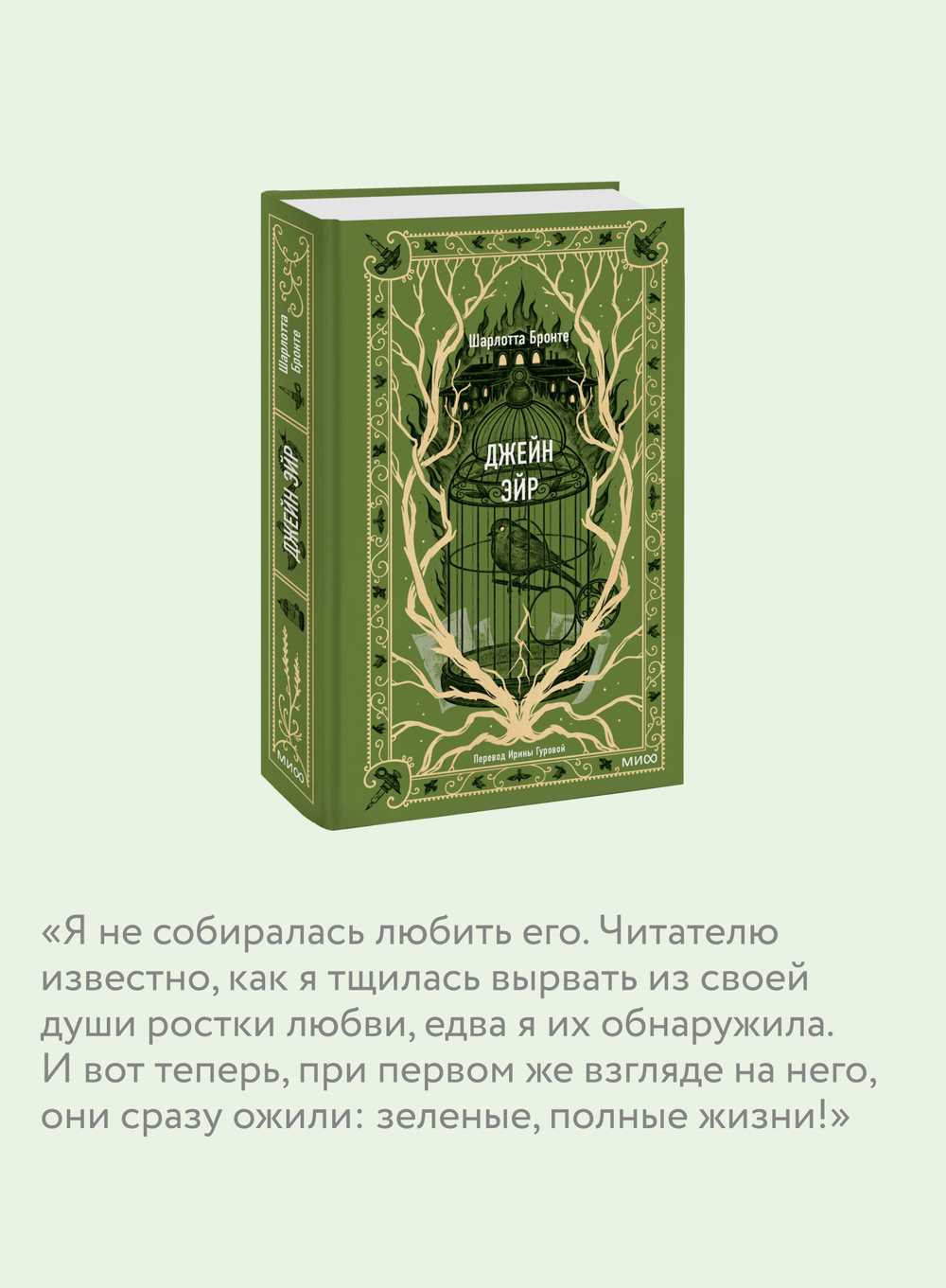 Джейн Эйр. Вечные истории