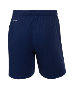 Шорты тренировочные JÖGEL NATIONAL PerFormDRY Training Shorts, темно-синий