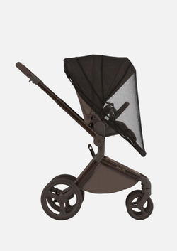 Anex Детская коляска Flo 2 в 1 Browny