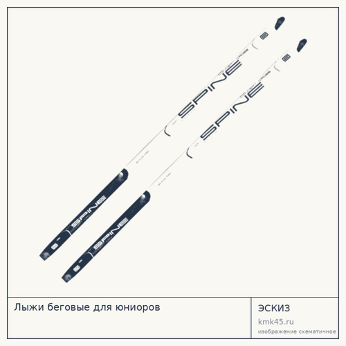 Лыжи беговые для юниоров — от 1 600 ₽