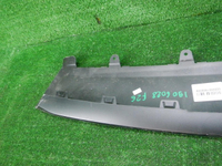 DSCN8407.JPG
