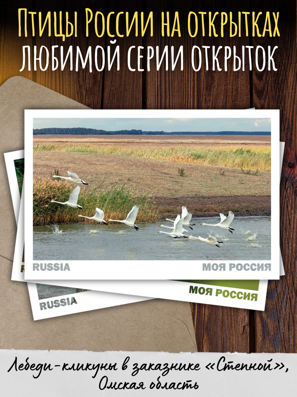 Моя Россия. Птицы