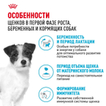 Royal Canin Mini Starter Мини Стартер Корм сухой для собак мелких пород в конце беременности в период лактации для щенков до 2-х месяцев 3кг
