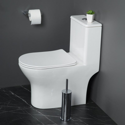 Унитаз-моноблок безободковый с сиденьем микролифт BelBagno LOUNGE BB8618CPR-MN/SC